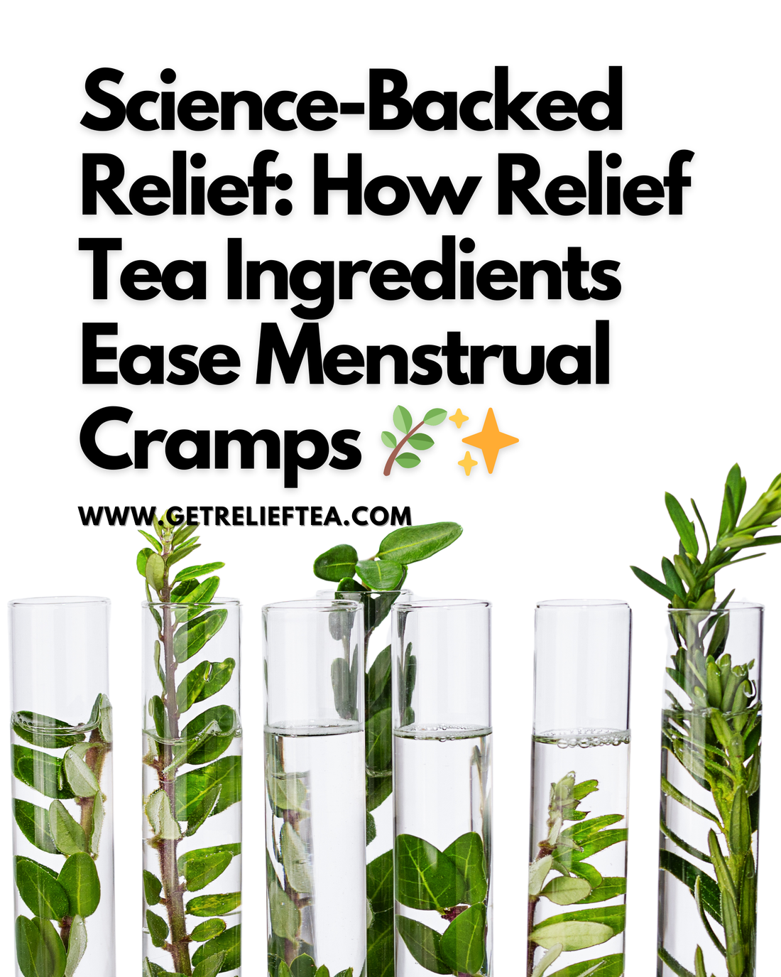 Science-Backed Relief: How Relief Tea Ingredients Ease Menstrual Cramps 🌿✨